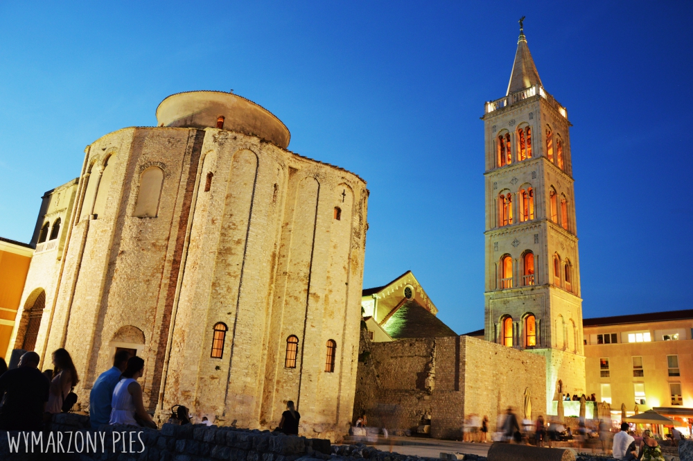 Pies Zadar