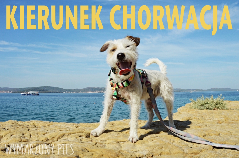 Kierunek chorwacja