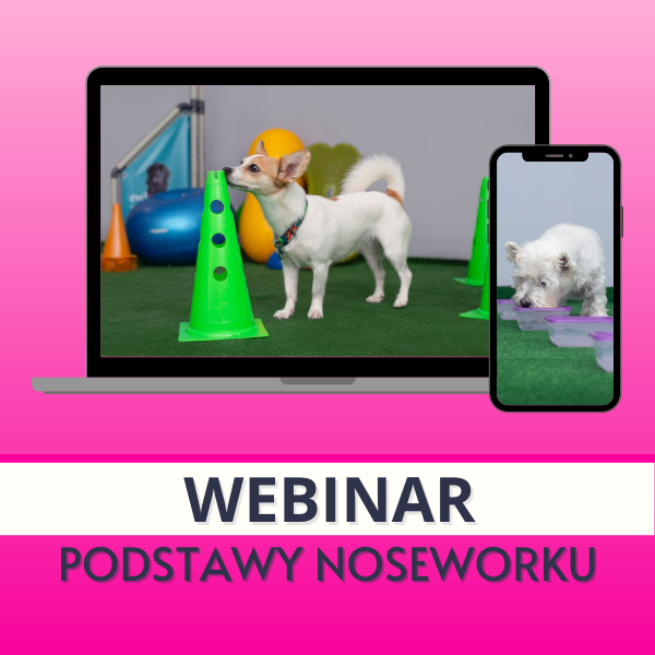 nosework_dla_psa