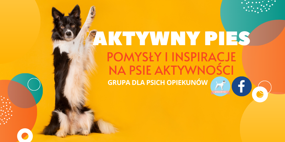 AKTYWNY_PIES