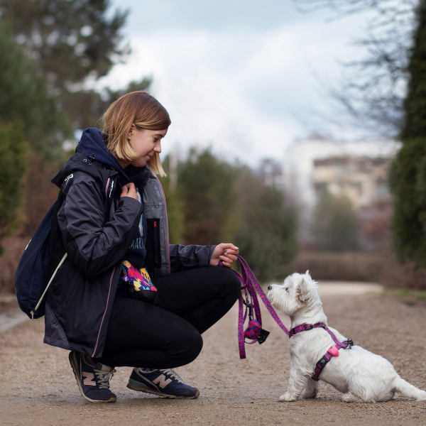 dogwalker