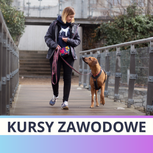 Kursy zawodowe