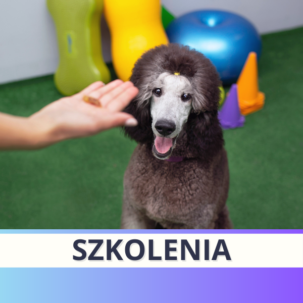 SZKOLENIA