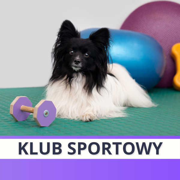 Klub sportowy