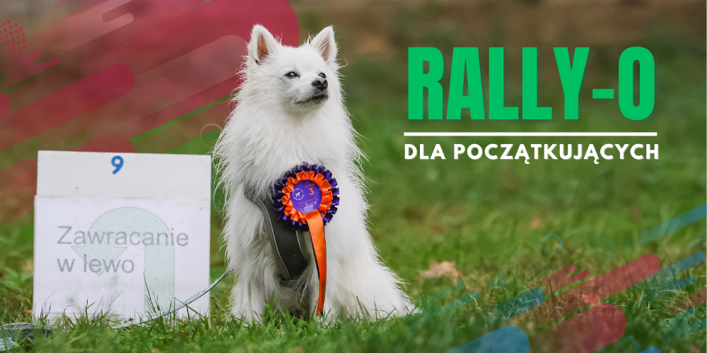 rally-o warszawa