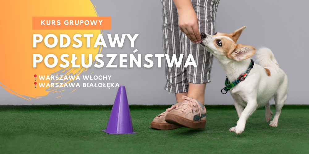 Podstawy posłuszeństwa Warszawa