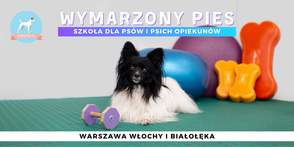 wymarzony pies
